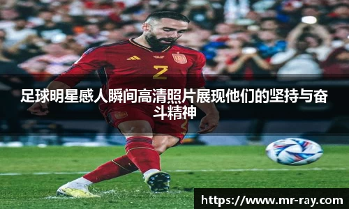 热博rb88