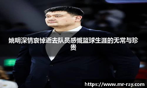 热博体育rb88官方网站